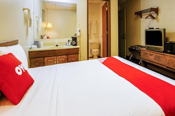Room, 1 King Bed