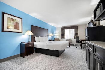 Room, 1 King Bed with Sofa bed, Non Smoking, Kitchen