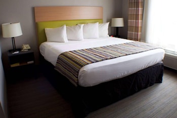 Room, 1 King Bed, Non Smoking