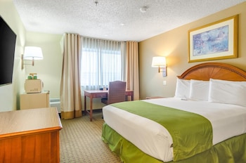 Room, 1 Queen Bed