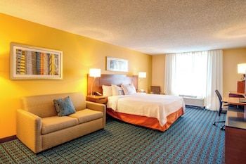 Room, 1 King Bed with Sofa bed