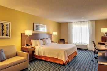 Room, 1 King Bed with Sofa bed