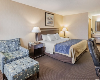 Room, 1 King Bed, Non Smoking