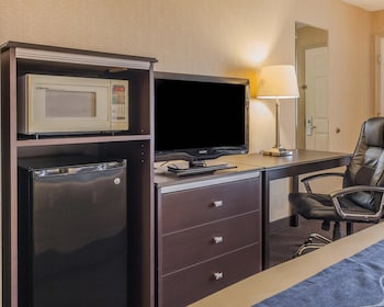 Standard Room, 1 King Bed, Non Smoking