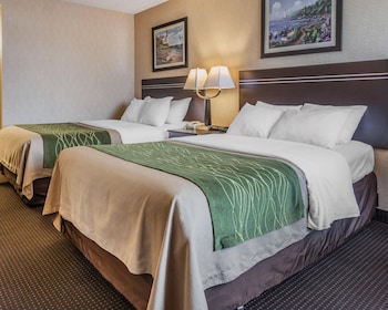 Standard Double Room, 2 Double Beds, Non Smoking