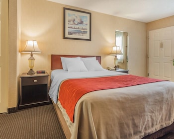 Room, 1 Queen Bed, Accessible, Non Smoking (Mobility)