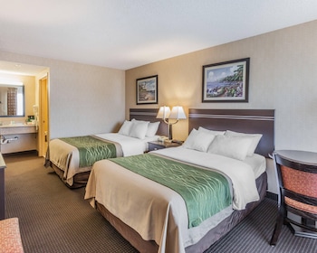 Standard Double Room, 2 Double Beds, Non Smoking