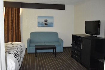 Suite, 1 King Bed with Sofa bed, Non Smoking