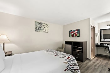 Deluxe Room, 1 Queen Bed, Non Smoking