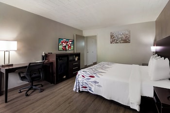 Superior Room, 1 King Bed, Non Smoking, Kitchenette