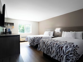 Deluxe Room, 2 Double Beds, Accessible (Smoke Free)