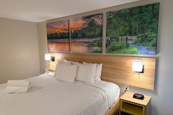 Standard Room, 1 King Bed, Non Smoking