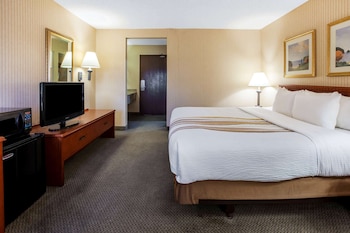 Apartment, 1 King Bed, Non Smoking
