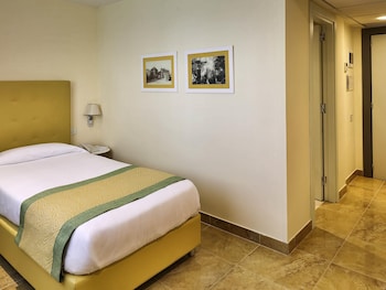 Room, 1 Twin Bed