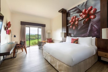 Room, 1 King Bed