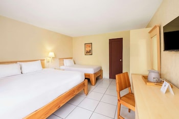 Standard Room, Multiple Beds, Non Smoking, Garden View