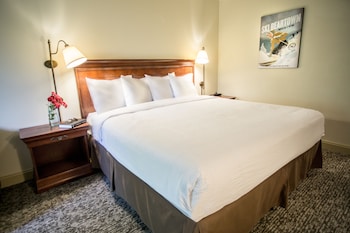 Standard Single Room, 1 King Bed, Roll-in Shower