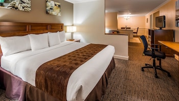 Suite, 1 Queen Bed, Non Smoking, Jetted Tub (with Sofabed)