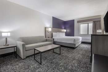 Standard Room, 1 King Bed, Non Smoking (with Sofabed)
