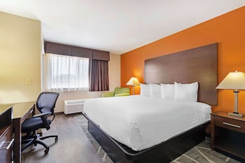 Suite, 1 King Bed, Non Smoking, Refrigerator & Microwave (with Sofabed)