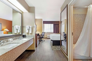 Suite, 1 King Bed, Non Smoking, Refrigerator & Microwave (with Sofabed)