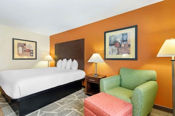 Standard Room, 1 King Bed, Non Smoking, Refrigerator & Microwave (Exterior)