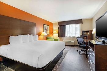 Standard Room, 1 King Bed, Non Smoking, Refrigerator & Microwave (Exterior)