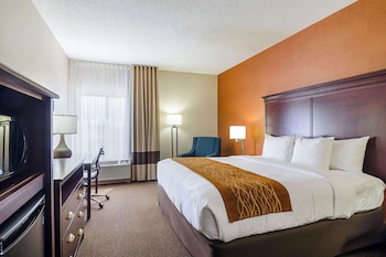 Room, 1 King Bed, Accessible, Non Smoking