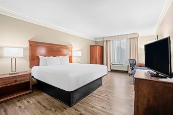Room, 1 King Bed, Non Smoking, Microwave
