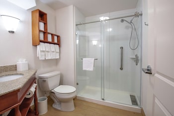 Standard Room, 1 King Bed, Accessible,Walk-in Shower