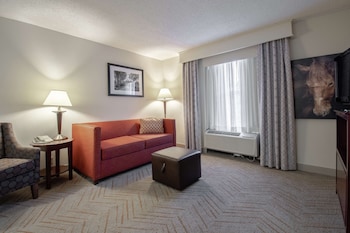 Signature Suite, 1 King Bed with Sofa bed, Accessible