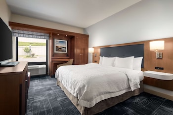 Studio, 1 King Bed, Refrigerator