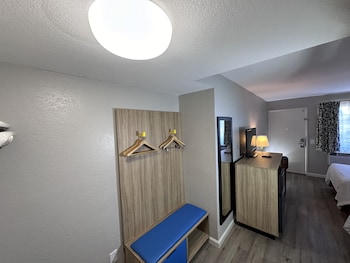 Room, 1 King Bed, Smoking