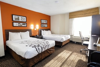 Standard Double Room, 2 Double Beds, Non Smoking