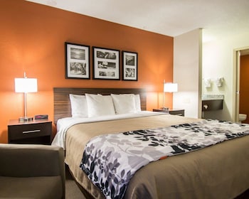 Standard Room, 1 King Bed, Non Smoking