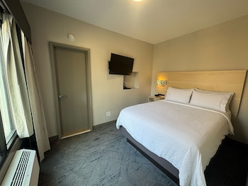 Suite, 1 Queen Bed