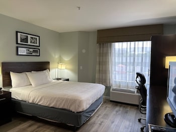 Room, 1 Queen Bed, Non Smoking