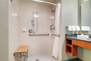 Room, 1 King Bed, Hearing Accessible (Roll in Shower)