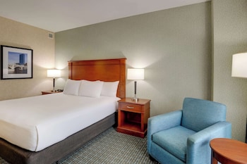 Room, 1 King Bed, Hearing Accessible (Roll in Shower)