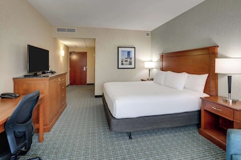 Room, 1 King Bed, Hearing Accessible (Roll in Shower)