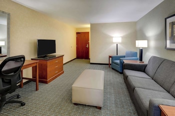 Suite, 1 King Bed with Sofa bed, Accessible (Sofa Sleeper, Tub, 2 Rooms)
