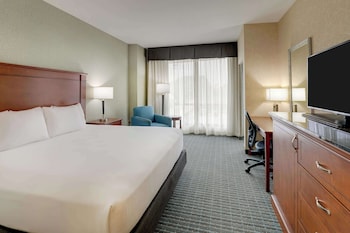 Room, 1 King Bed, Hearing Accessible (Roll in Shower)