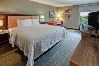 Standard 1 King Bed with Sofa bed, Non Smoking