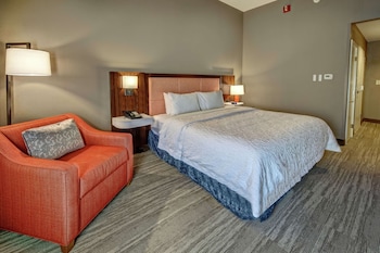 Room, 1 King Bed, Mobility Accessible, Roll-In Shower, Non Smoking