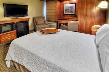 Room, 1 Queen Bed, Accessible (Mobility & Hearing, Roll-in Shower)