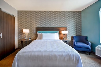 Suite, 1 Queen Bed, Accessible (Roll-In Shower)