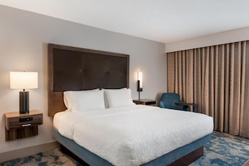 Room, 1 King Bed, Accessible (Mobility & Hearing, Roll-in Shower)