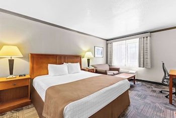 Standard Room, 1 King Bed, Accessible, Non Smoking (Walk-in Shower)