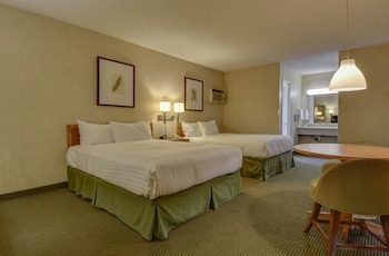 Double Room, 2 Queen Beds, Accessible