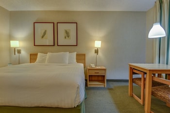 Single Room, 1 King Bed, Roll-In Shower